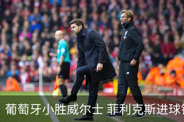 葡萄牙小胜威尔士 菲利克斯进球锁定胜局