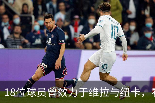 18位球员曾效力于维拉与纽卡，看看你能记起谁